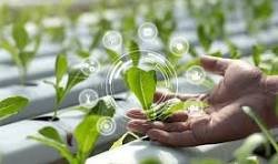 Agricultural Technology